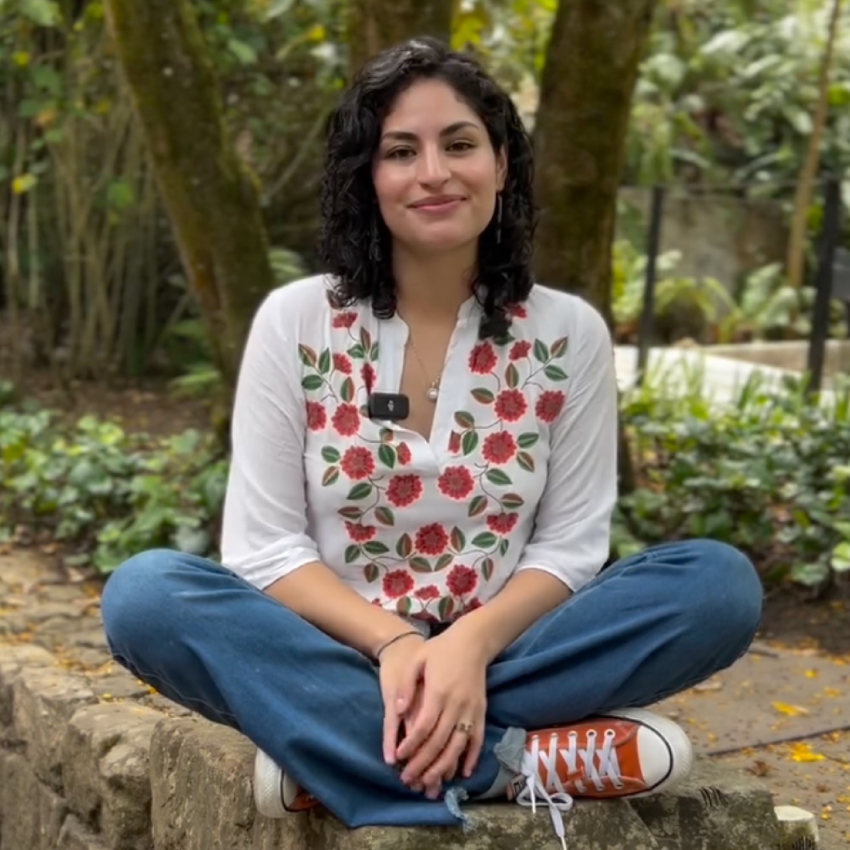 imagen de stock Grillo Historias IQUI